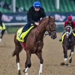 Preakness 2017 Horses: Entry List, Vegas Odds and Dark-Horse